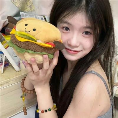 监察局长