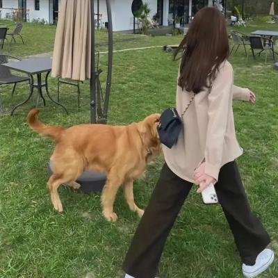 特警霸王花